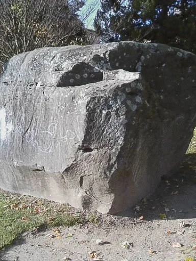 a strange creature, original