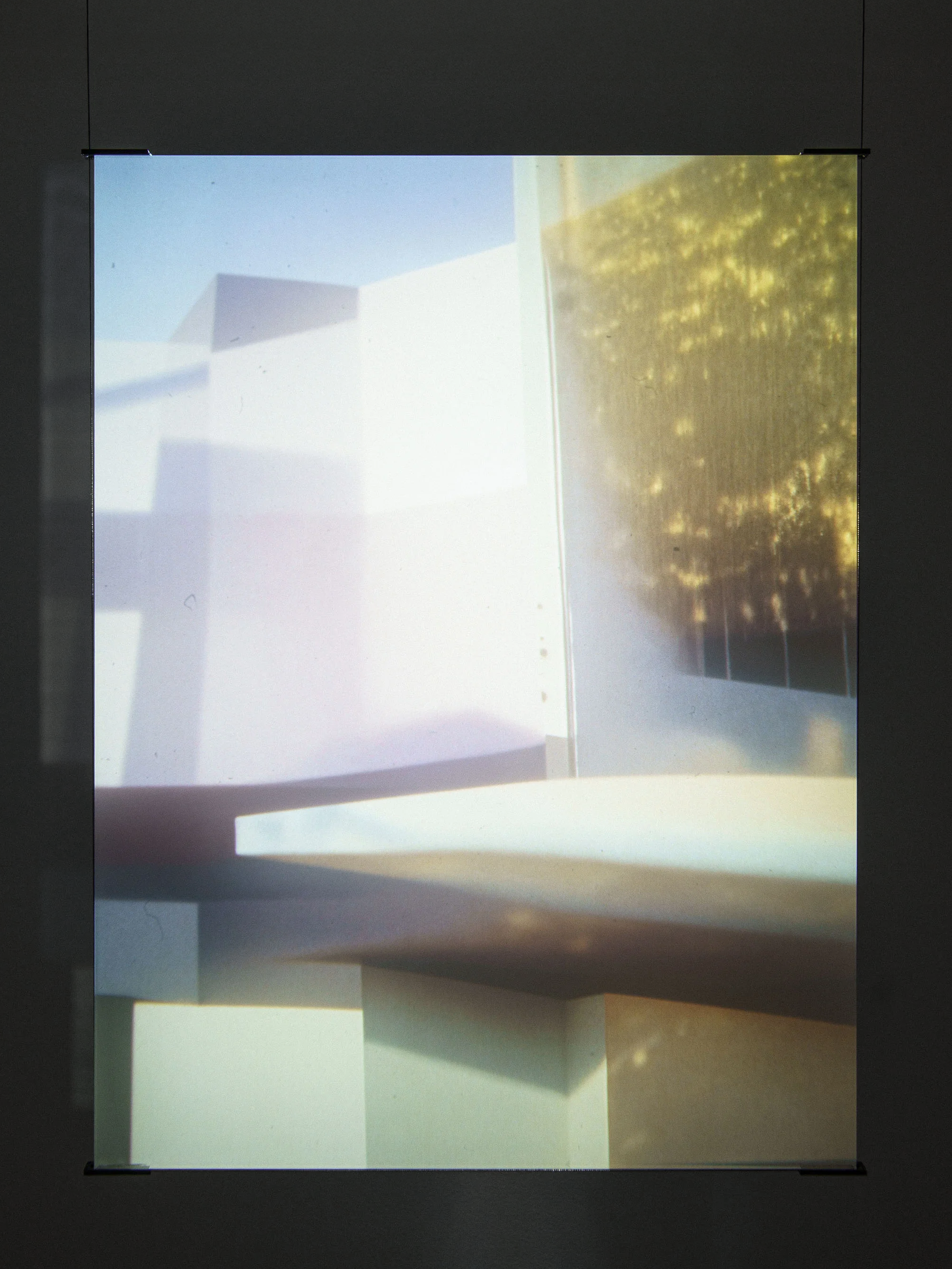 life arranged in geometric shapes