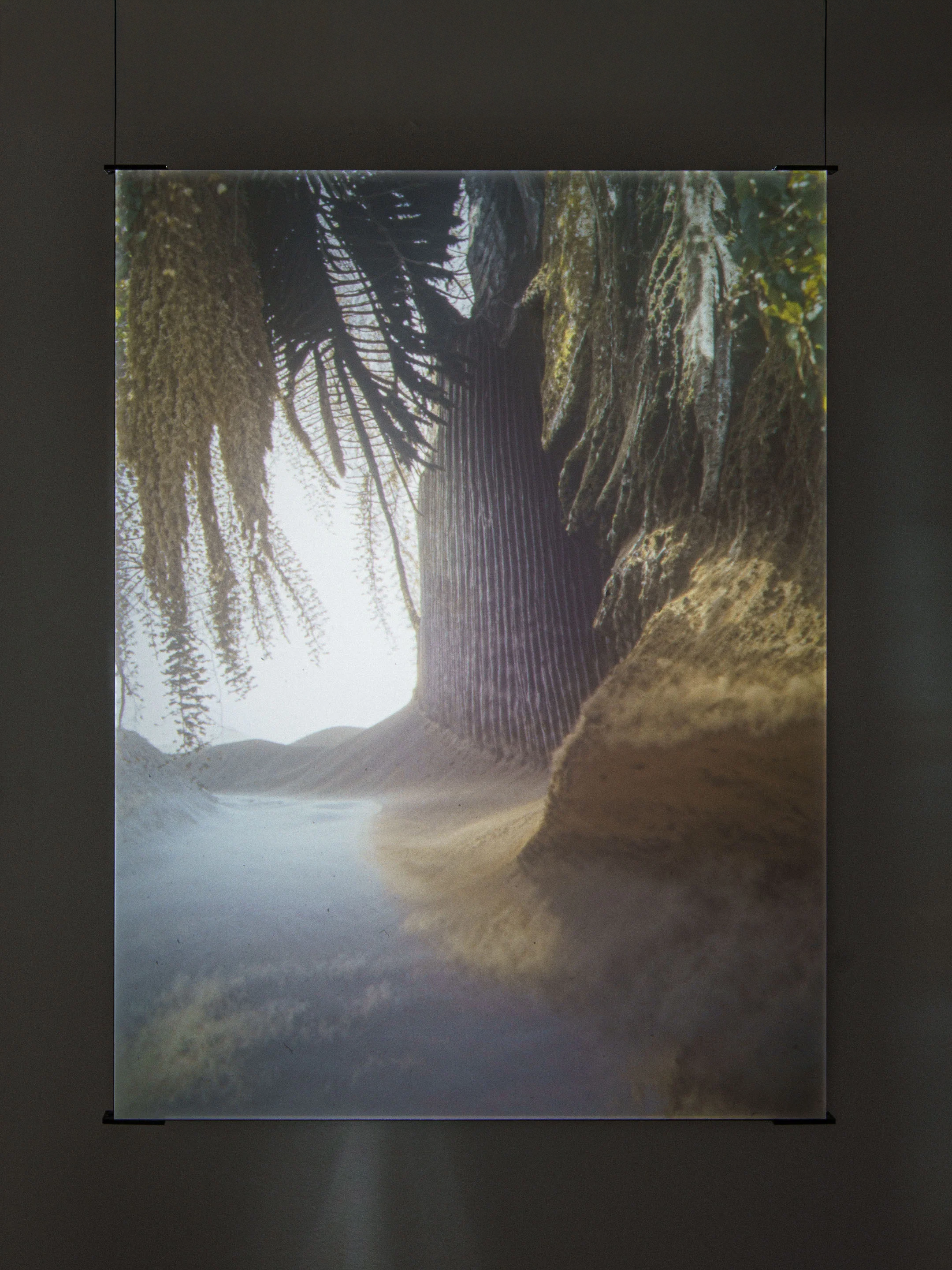 images falling apart like sand castles