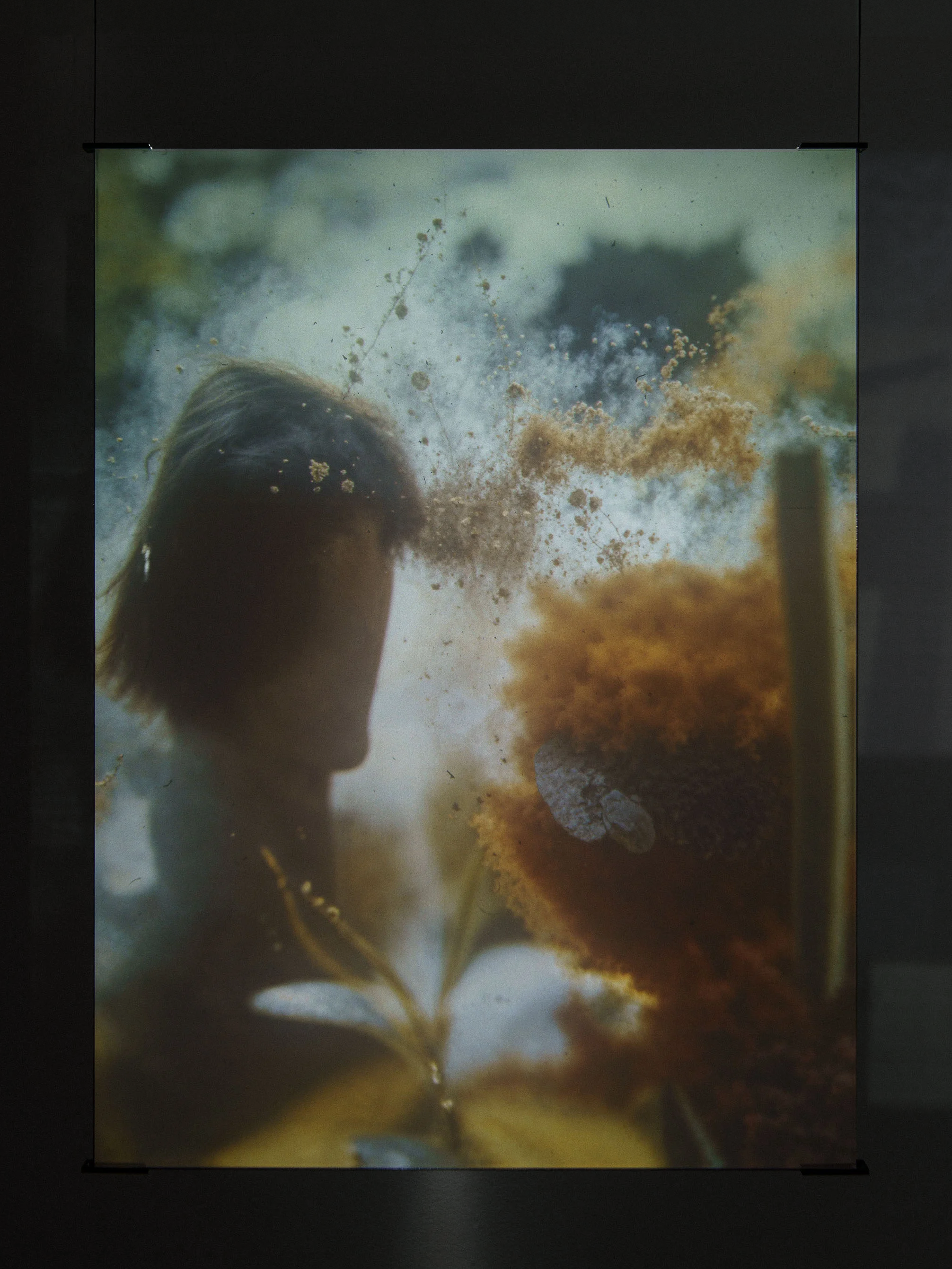 we are all delicate plants turning into smoke